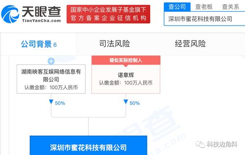 映客布局技术领域，成立深圳蜜花科技公司持股50%提供信息系统集成服务