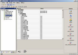 浙江中控软件技术产品 集成企业资源模型的权限体系及其在信息系统集成服务中的价值