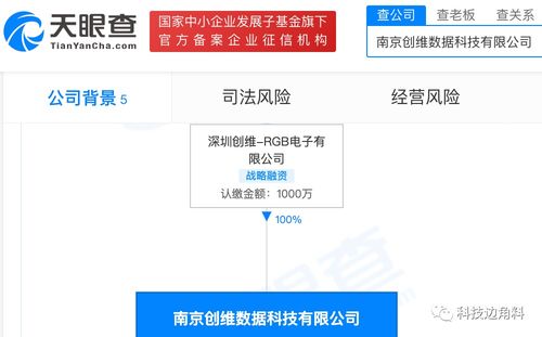 创维RGB于南京成立数据科技公司，拓展税务与信息系统集成服务